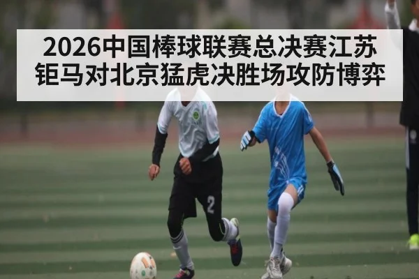 2026中国棒球联赛总决赛江苏钜马对北京猛虎决胜场攻防博弈